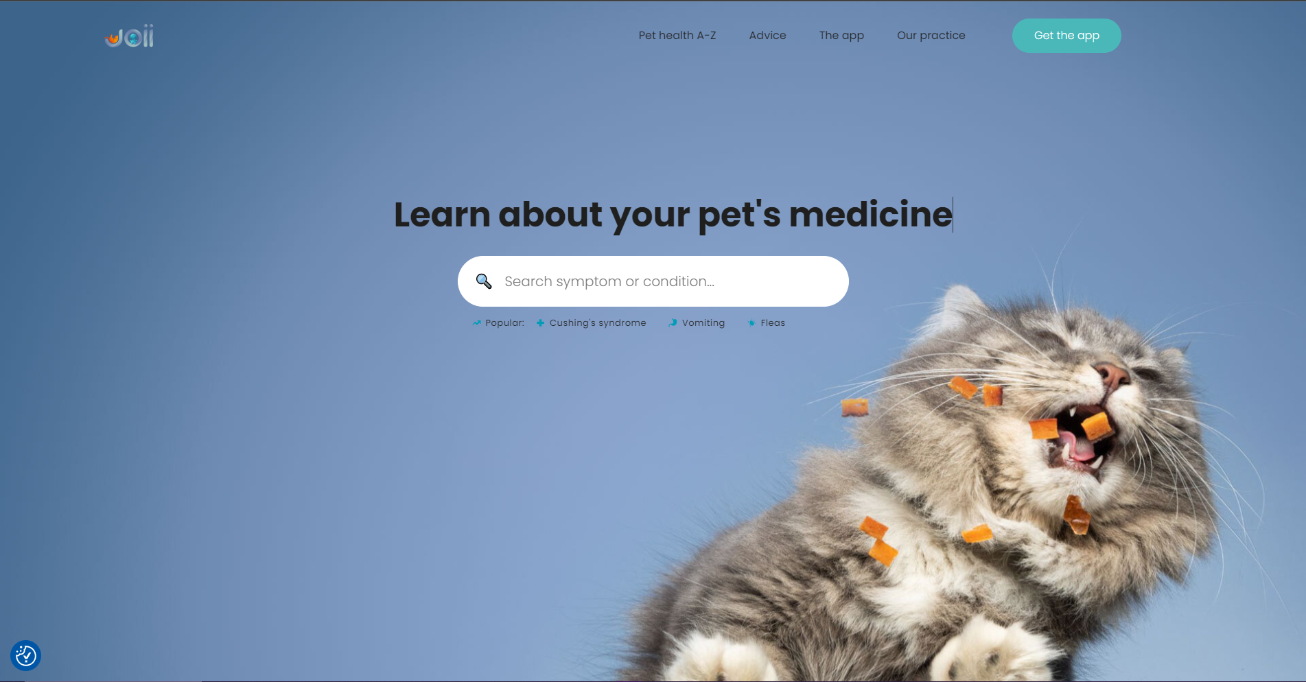 Joii Pet Care AI Tool for Healthcare Reviews, Pricing, Use Cases